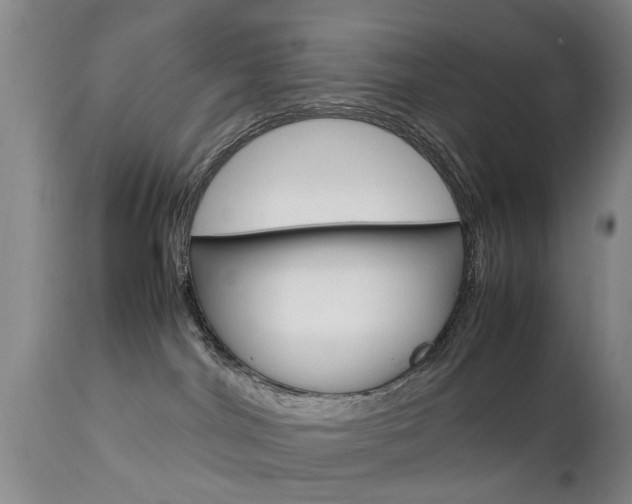 X0000112790044200908210949