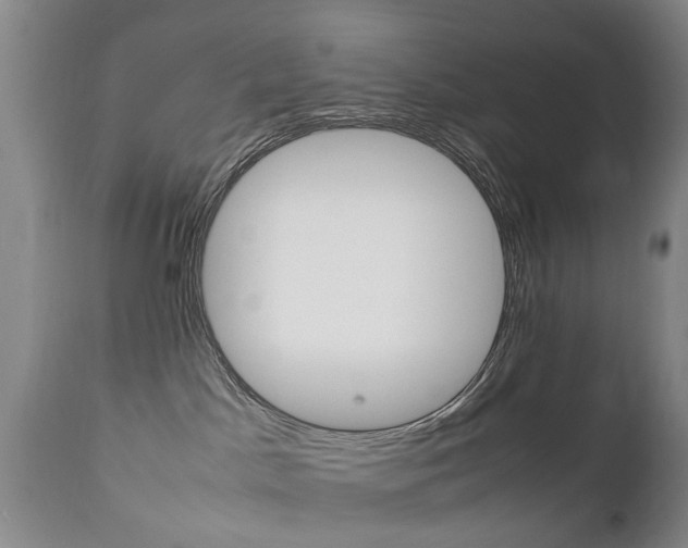 X0000112790045200908210949