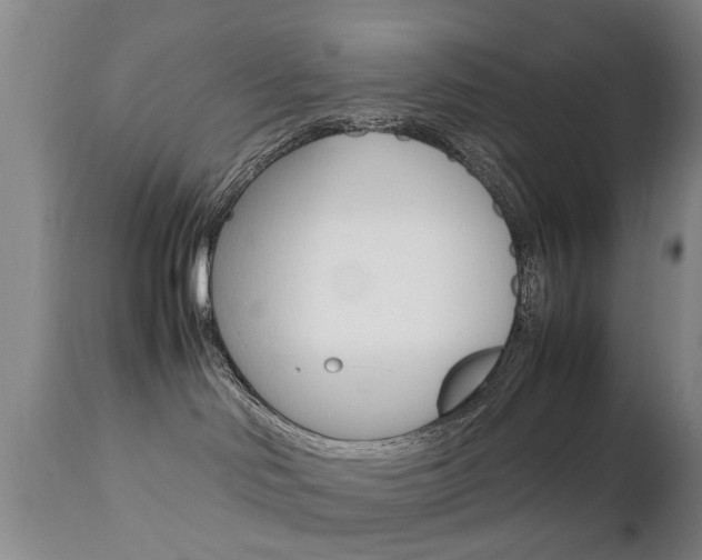 X0000112790046200908210949
