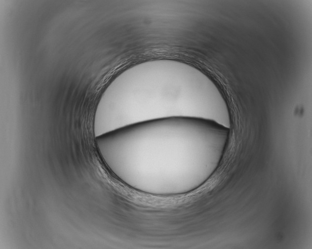X0000112790048200908210949