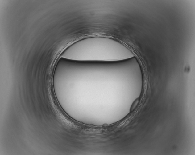 X0000112790049200908210948