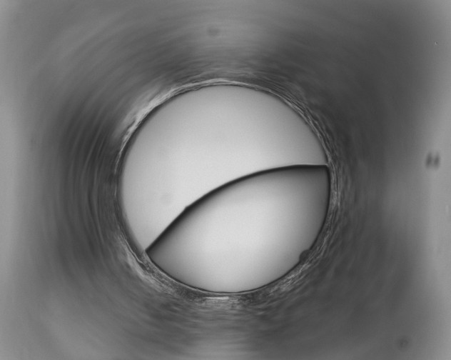 X0000112790050200908210948