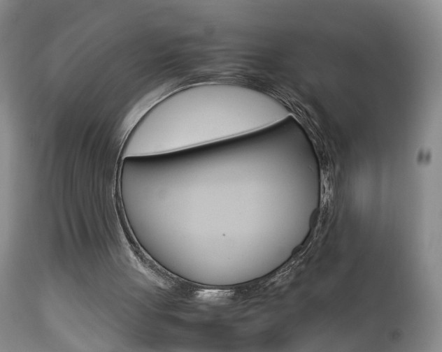 X0000112790051200908210948