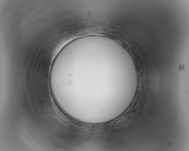 X0000112790052200908210948