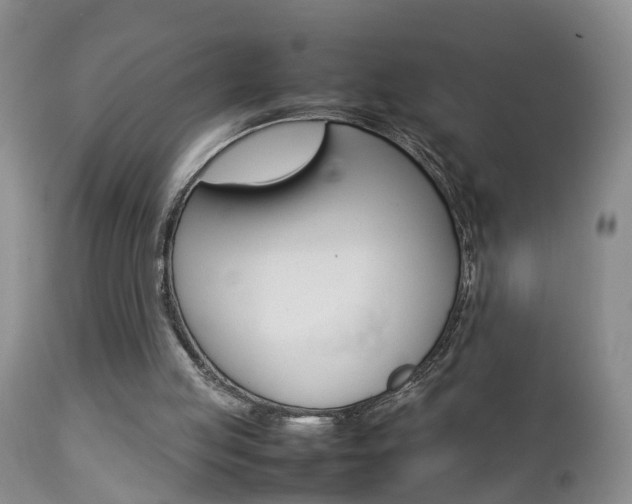 X0000112790053200908210948