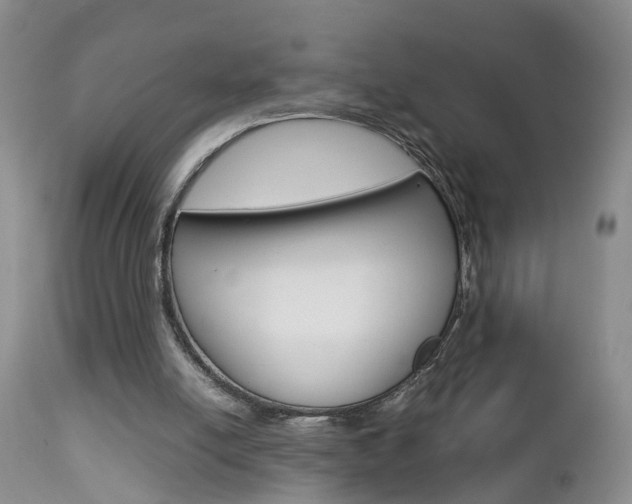 X0000112790054200908210948