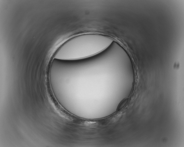 X0000112790055200908210949