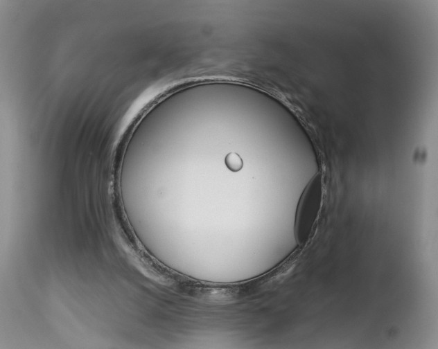 X0000112790056200908210949