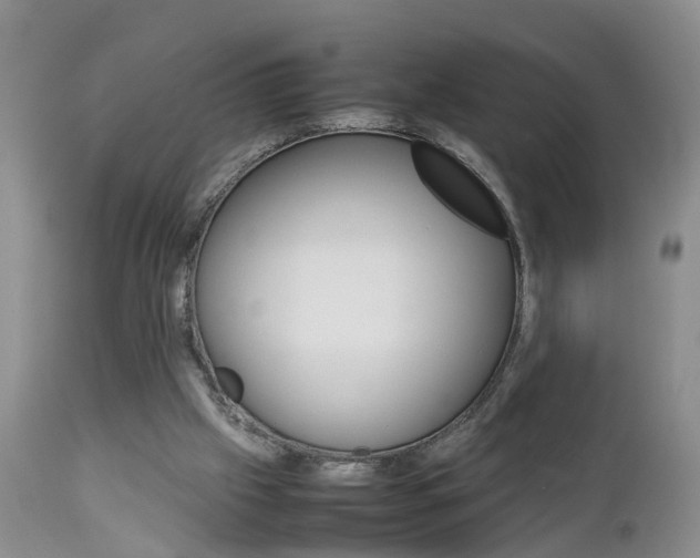 X0000112790057200908210949