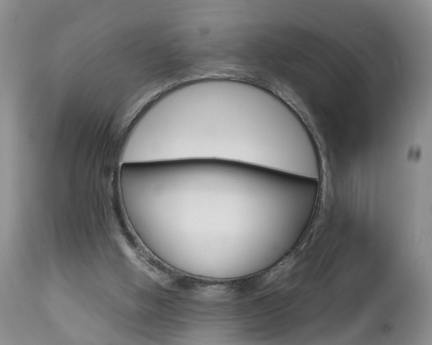 X0000112790058200908210949