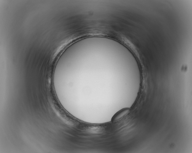 X0000112790059200908210949