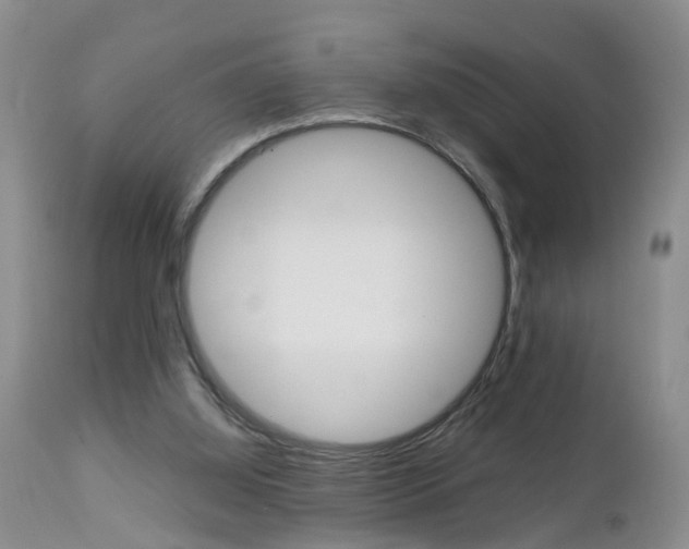 X0000112790060200908210949