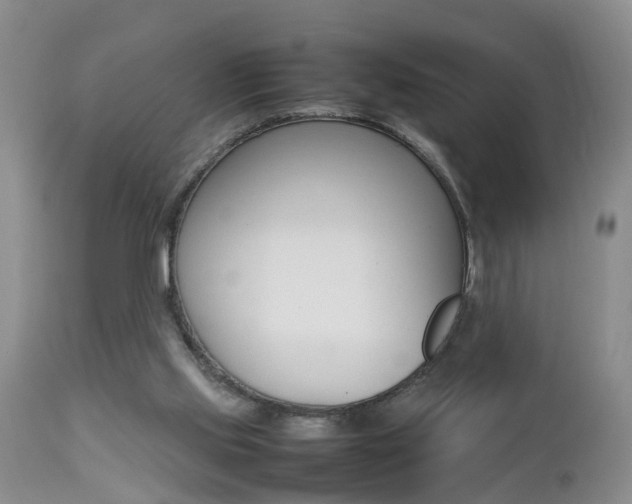X0000112790061200908210949