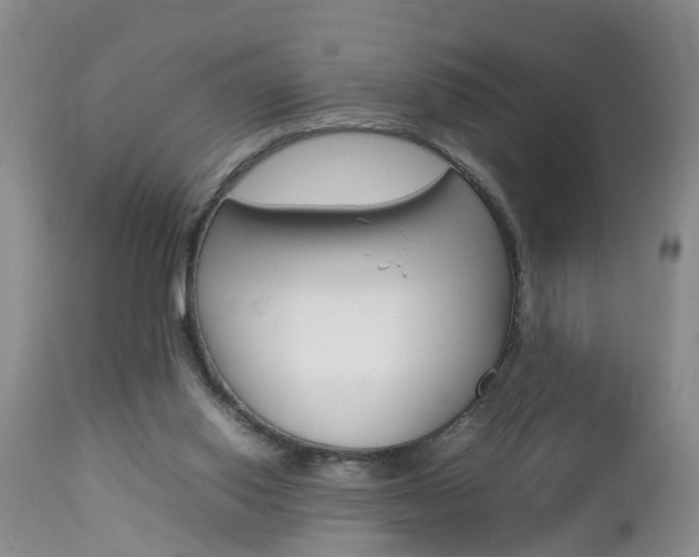 X0000112790062200908210949
