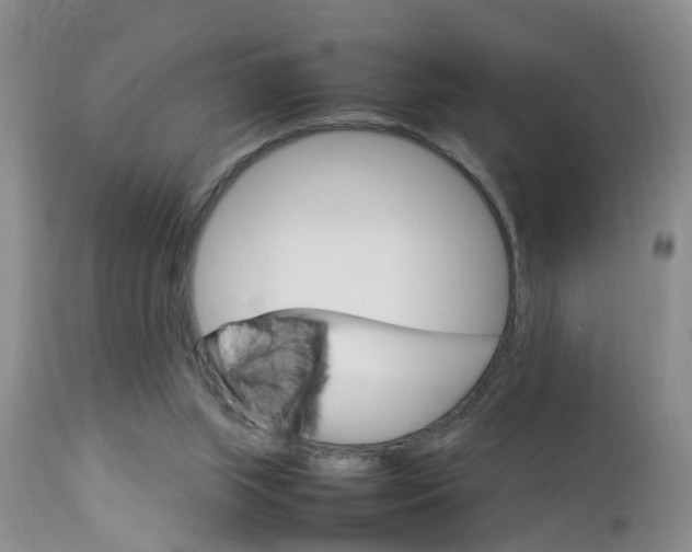 X0000112790063200908210949