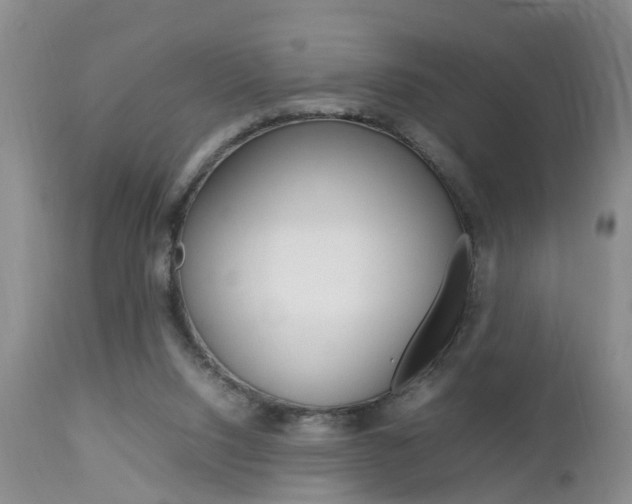 X0000112790064200908210949