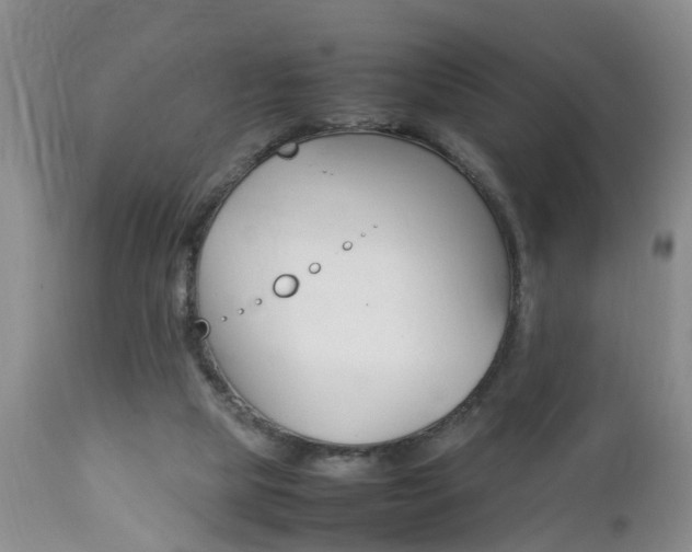 X0000112790065200908210949