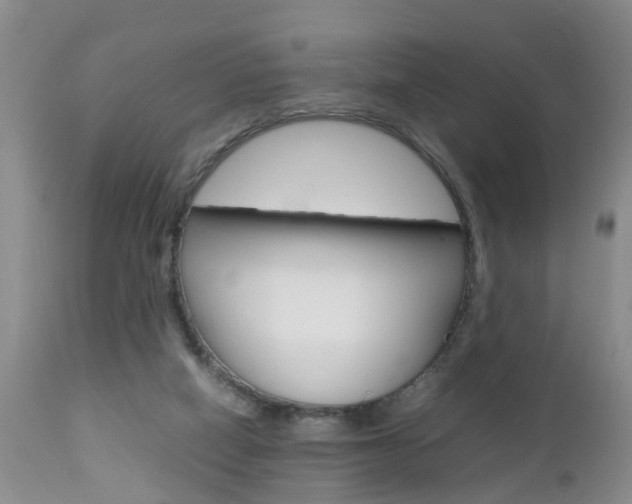 X0000112790066200908210949