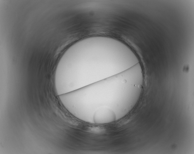 X0000112790067200908210949
