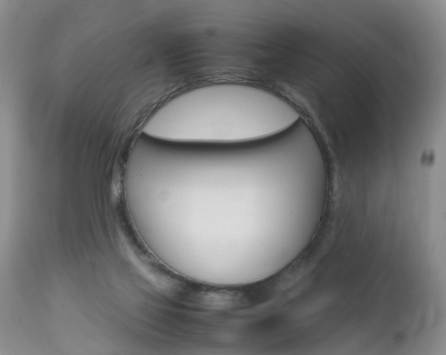 X0000112790069200908210949
