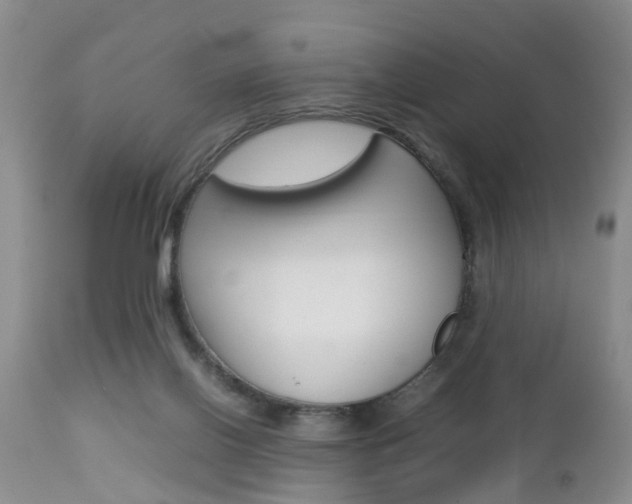 X0000112790070200908210949