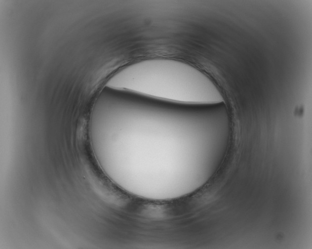 X0000112790071200908210949