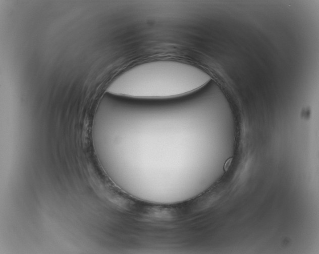 X0000112790073200908210949