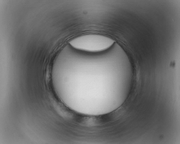 X0000112790074200908210949