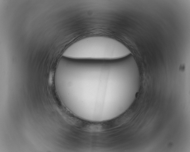 X0000112790075200908210949