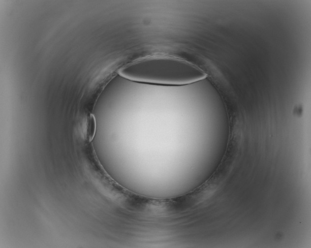 X0000112790076200908210949