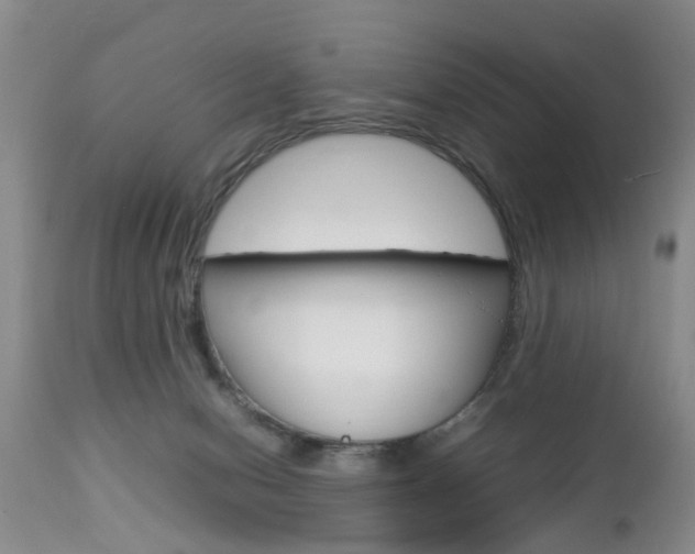 X0000112790078200908210949