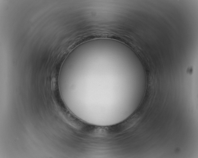 X0000112790080200908210949