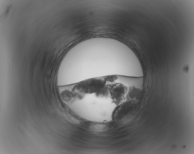 X0000112790081200908210949