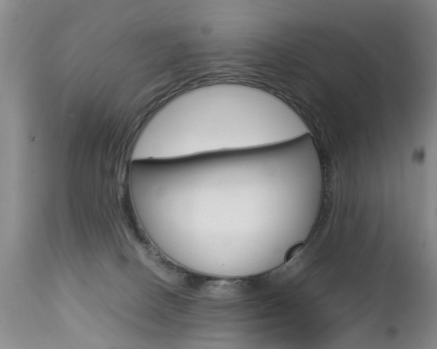 X0000112790082200908210949