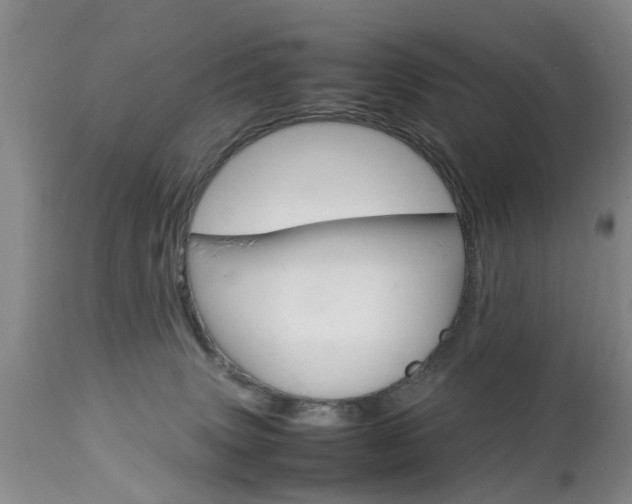 X0000112790083200908210949