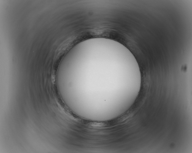X0000112790085200908210949