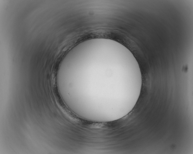 X0000112790086200908210949