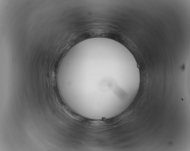X0000112790087200908210949