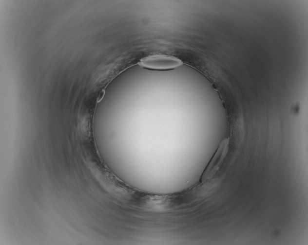 X0000112790088200908210949