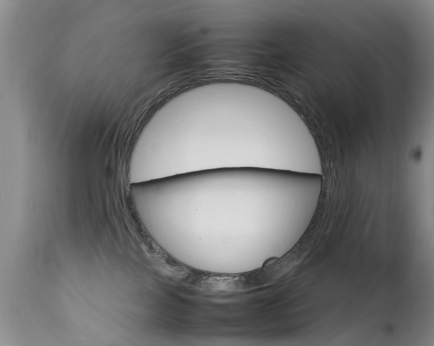 X0000112790089200908210949