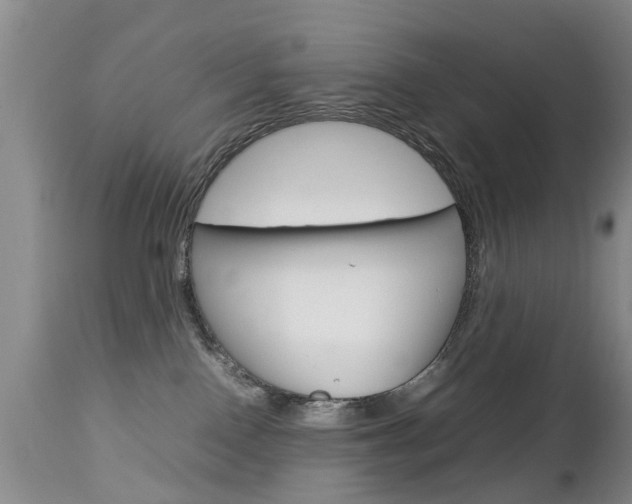 X0000112790090200908210949