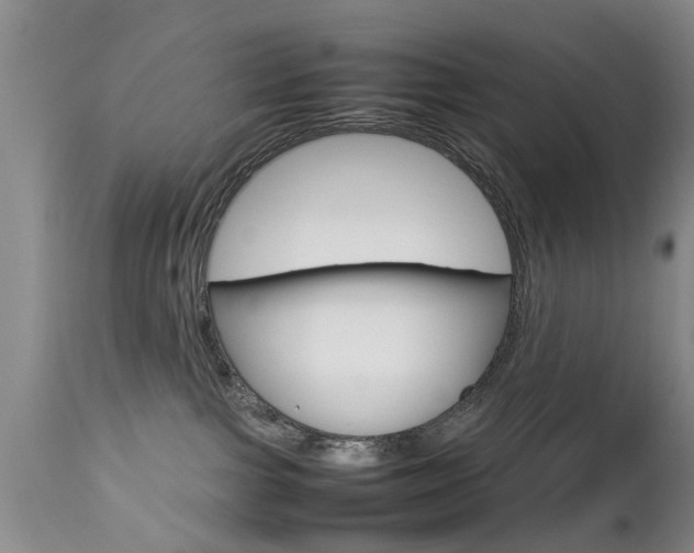 X0000112790091200908210949