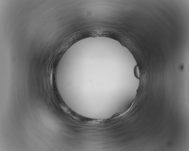 X0000112790094200908210949
