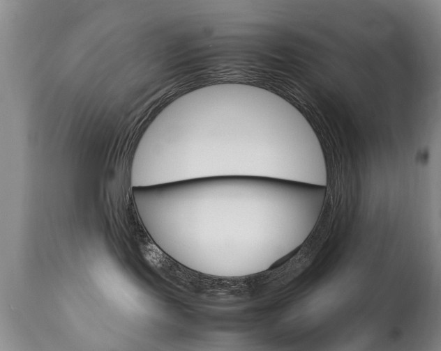 X0000112790095200908210949