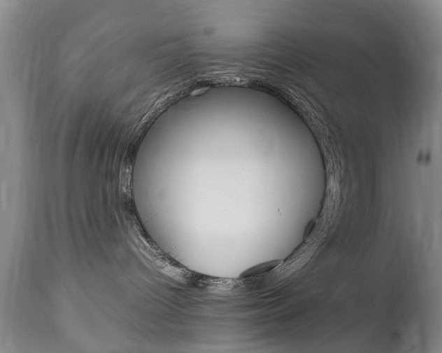 X0000112790096200908210949