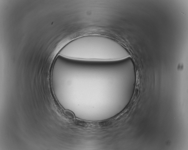 X0000112790099200908210948