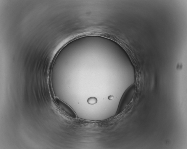 X0000112790100200908210948