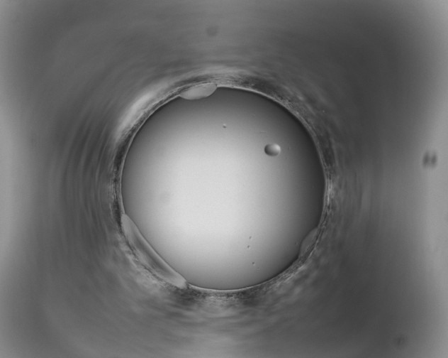 X0000112790101200908210948