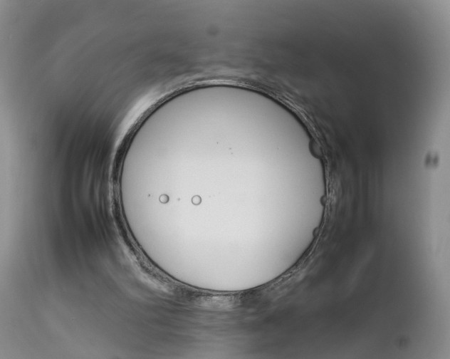 X0000112790102200908210948