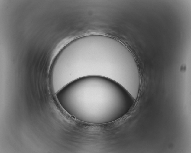 X0000112790104200908210948
